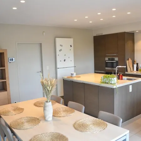 Luxe In Vlaamse Ardennen Met Zwembad Villa